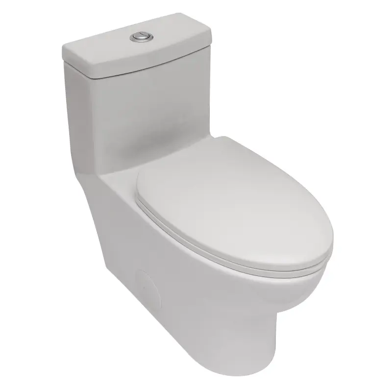 Bellemave  Ceramic One Piece Toilet,Dual Flush with Soft Clsoing Seat