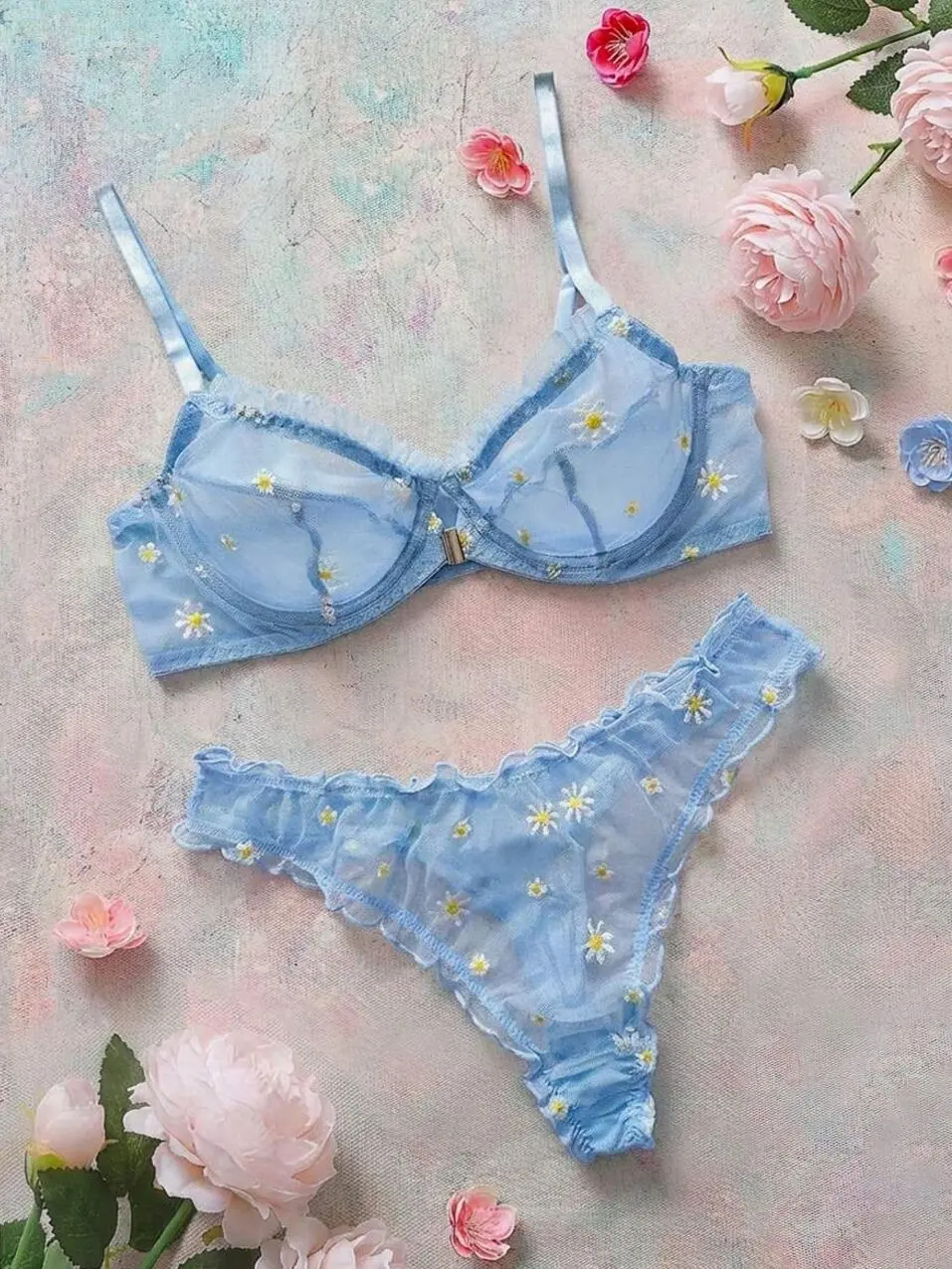 Plus Size Romantic Embroidery Lingerie Set, Supportive Wire Bra and Panty Set