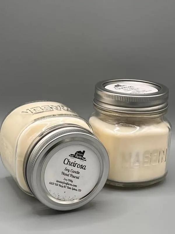 Cheirosa Candle Sol De Janero 68 Dupe Scent - Decorative Candle for Home Decor and Ornaments