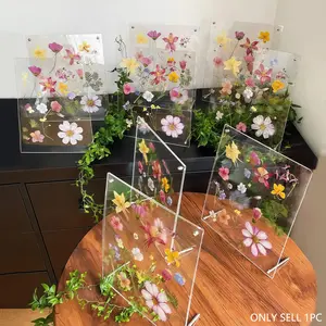 Multifunctional Transparent Acrylic Stand, Dried Flower Pressing Frame, Creative DIY Dried Flower Specimen Display Case, Suitable for Posters, Paper Books, Artwork, Decor