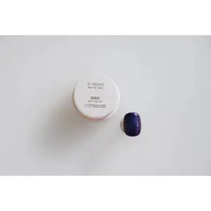 Kira by Huang Magnet Gel - CS21 Purple