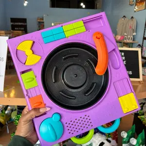 DJ Turntable Slow Feeder and Puzzle