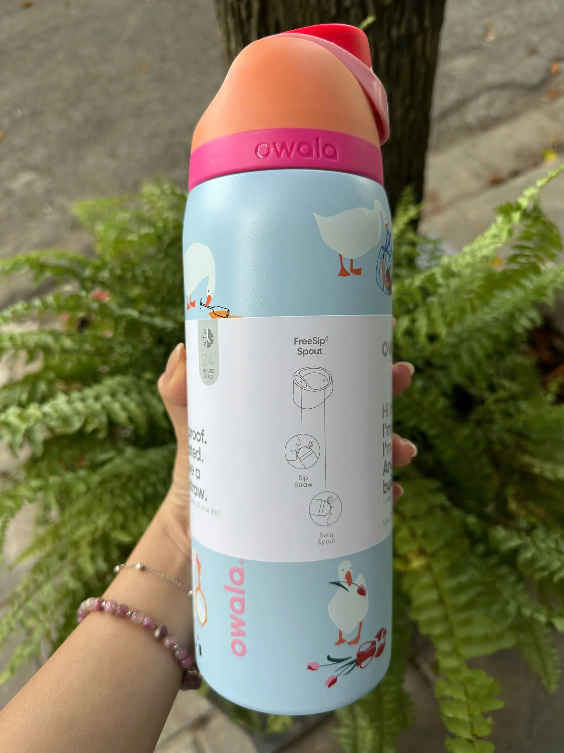 NEW Owala Silly Goose Water Bottle Freesip 32oz Limited Edition Full Box NEW Owala Silly Goose Water Bottle Freesip 32oz Limited Edition Full Box