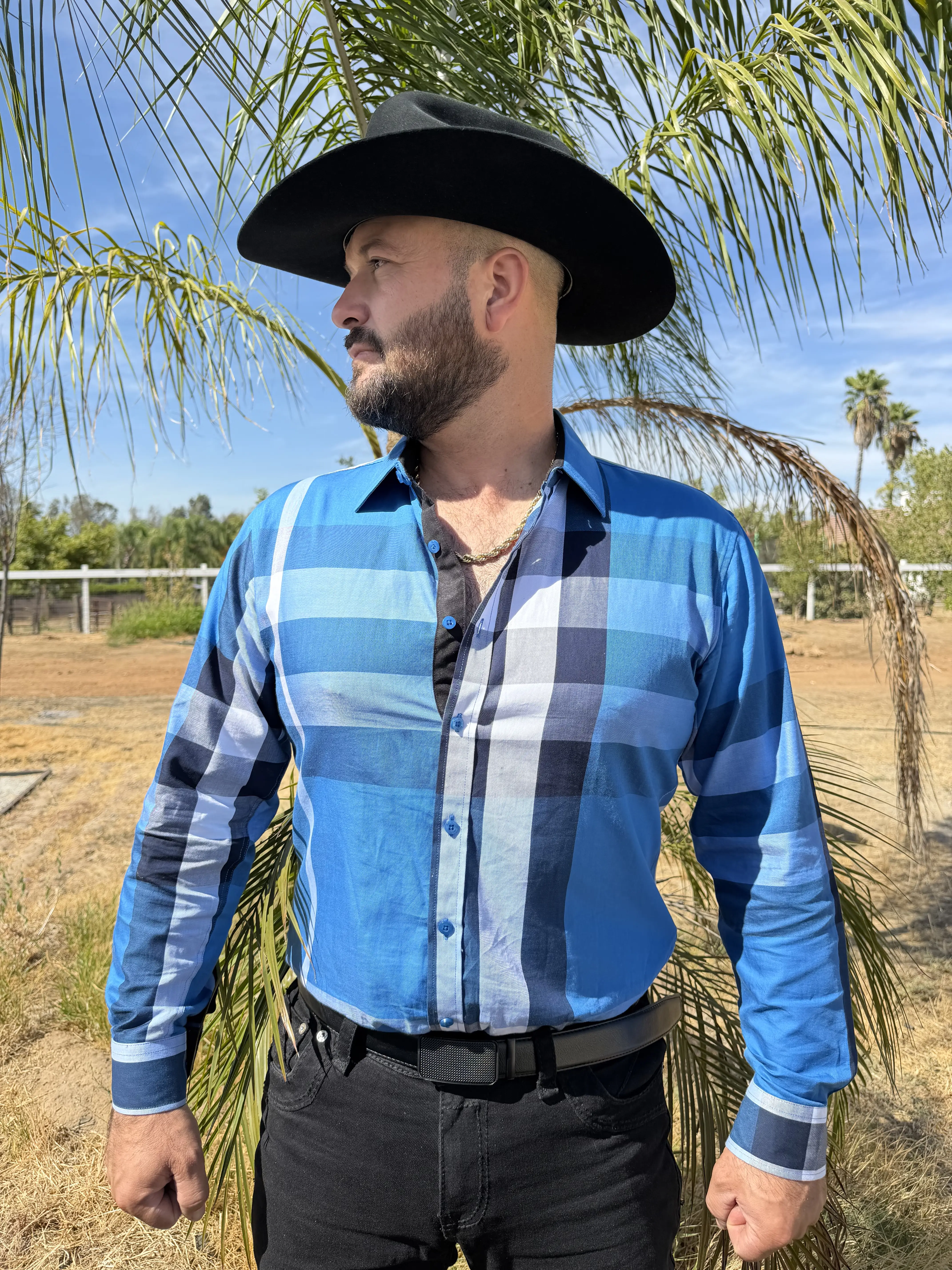 1 long sleeve Blue/white (ESTILO BAYARD) Shirt