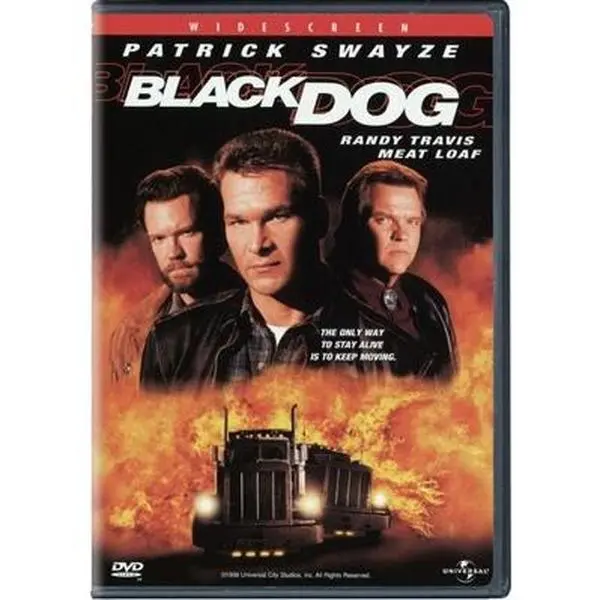 USED Book - Black Dog (DVD) - english
