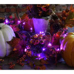 LumaBase Set of 2 Battery Operated Fairy StringLights LumaBase Set of 2 Battery Operated Fairy StringLights