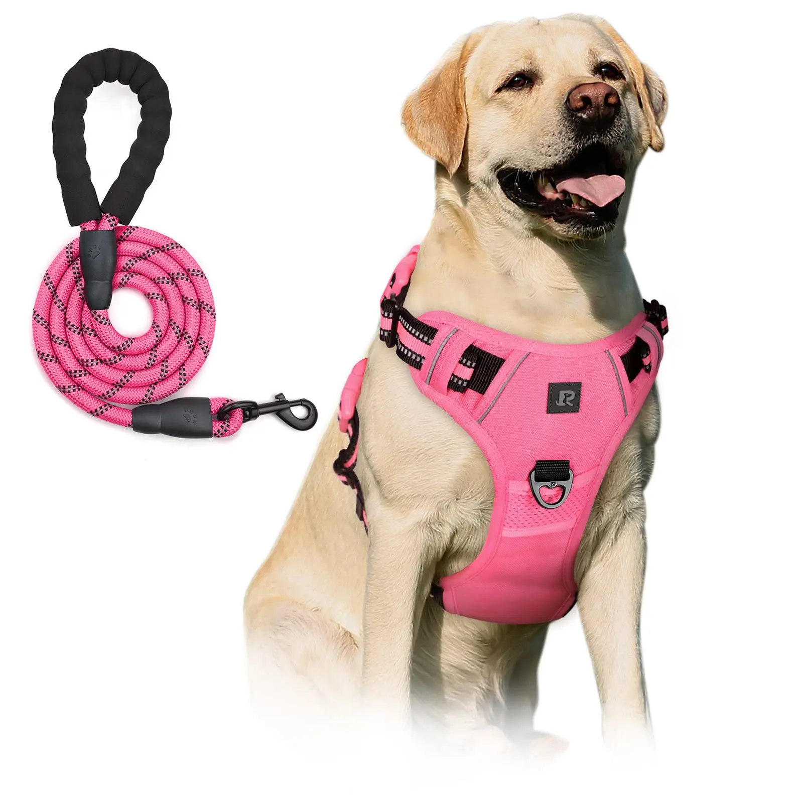 No Pull Dog Harness & Leash Set (2 Counts/set), Escape Proof Reflective Adjustable Pet Vest, Soft Padded Pet Harness with Handle for Small To Large Do