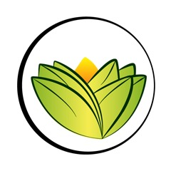 The Ayurveda Experience