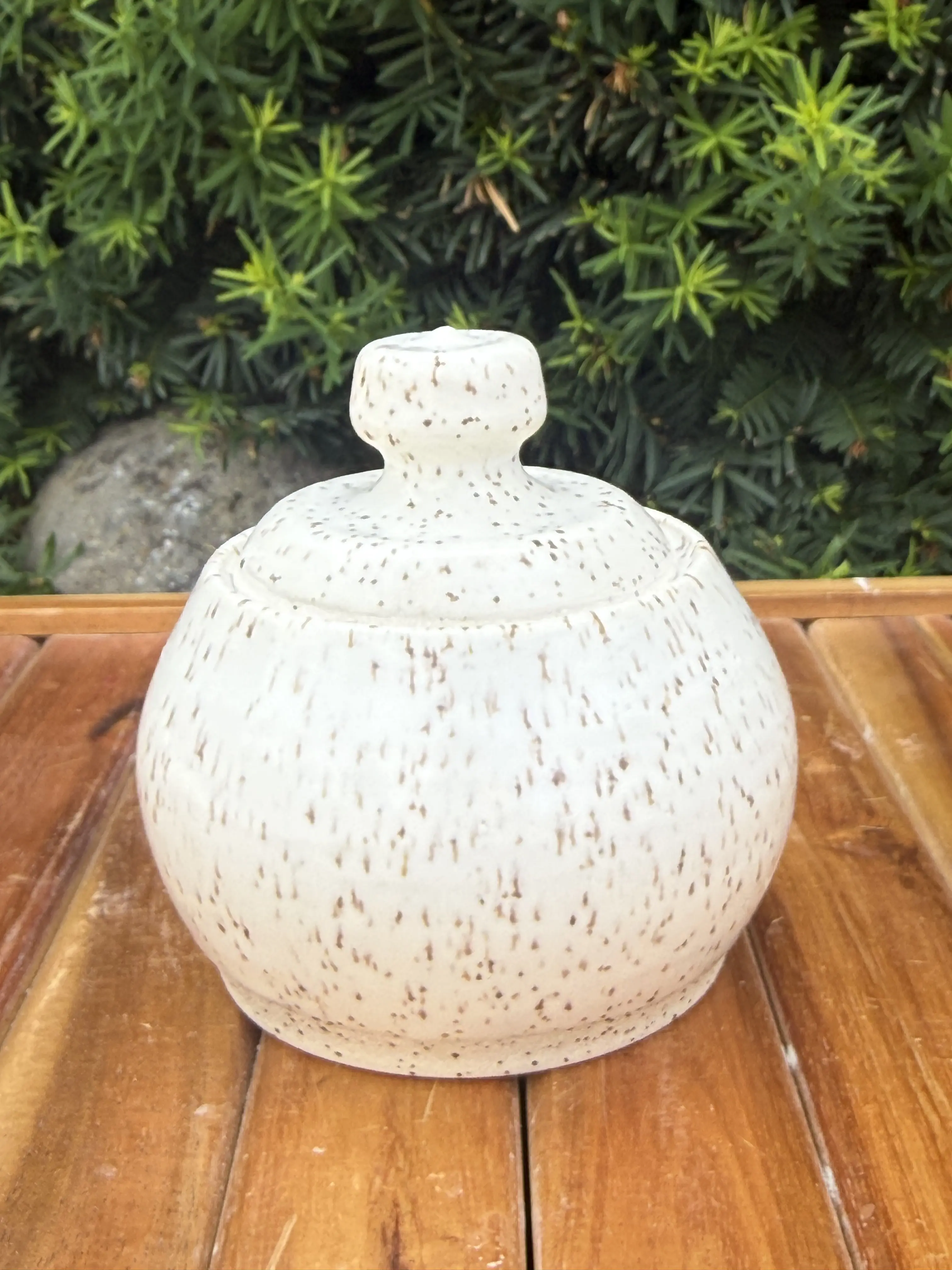 Handmade Ceramic Lidded Salt Pot