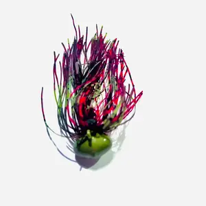 Red craw fishing jig