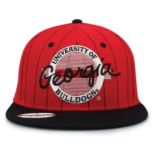 Georgia '90 Pin Snapback