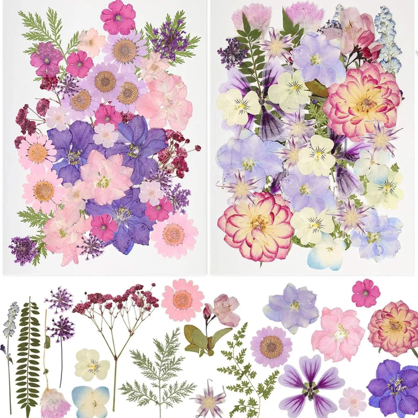 Dried Pressed Flowers, 50pcs/set Natural Dry Leaves & Petals, Colorful Flower Kit for Scrapbooking, DIY Candle Jewelry Crafts Making