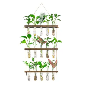 3 Tier Propagation Station - Wall Hanger