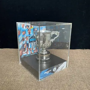 Carabao Cup Style Championship Trophy Display Case, Fan Collectible Decor, Perfect for Sports Fans, Home Decoration, Gift Idea