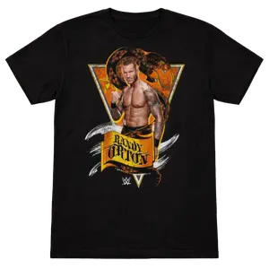 Men’s Randy Orton Snake Flag Graphic T-Shirt Black Unisex Wrestling Fan Tee, Vintage RKO Viper Patriotic Design, Pro Wrestling Streetwear, Gift for WWE Fan or Collector