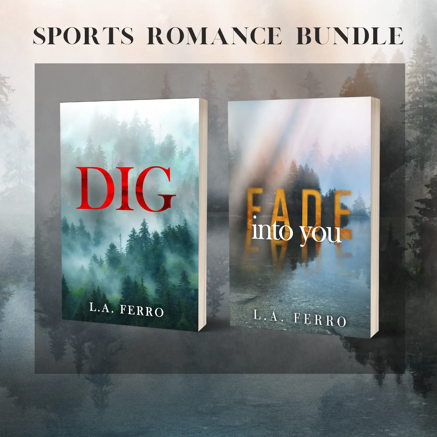 Sports Romance Book Bundle: DIG & Fade Into You - Baseball Theme, Soft Cover, Includes Swag Pack with Bookmark & Character Art
