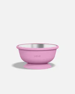 Stainless Suction Bowl
