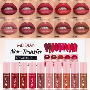 10Pcs Moisturizing Lip Glaze Set Cosmetic Waterproof Non Stick Cup Lipstick Easy to apply Non drying Hydrating Lip Glossy High Pigmented Lip Tint Long Lasting Makeup