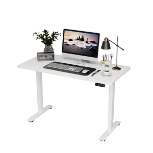 BIZUM 48x24 Inches Standing Desk Electric Adjustable Computer Desk-Stand up Desk Office Gaming Home Office Memory Desks