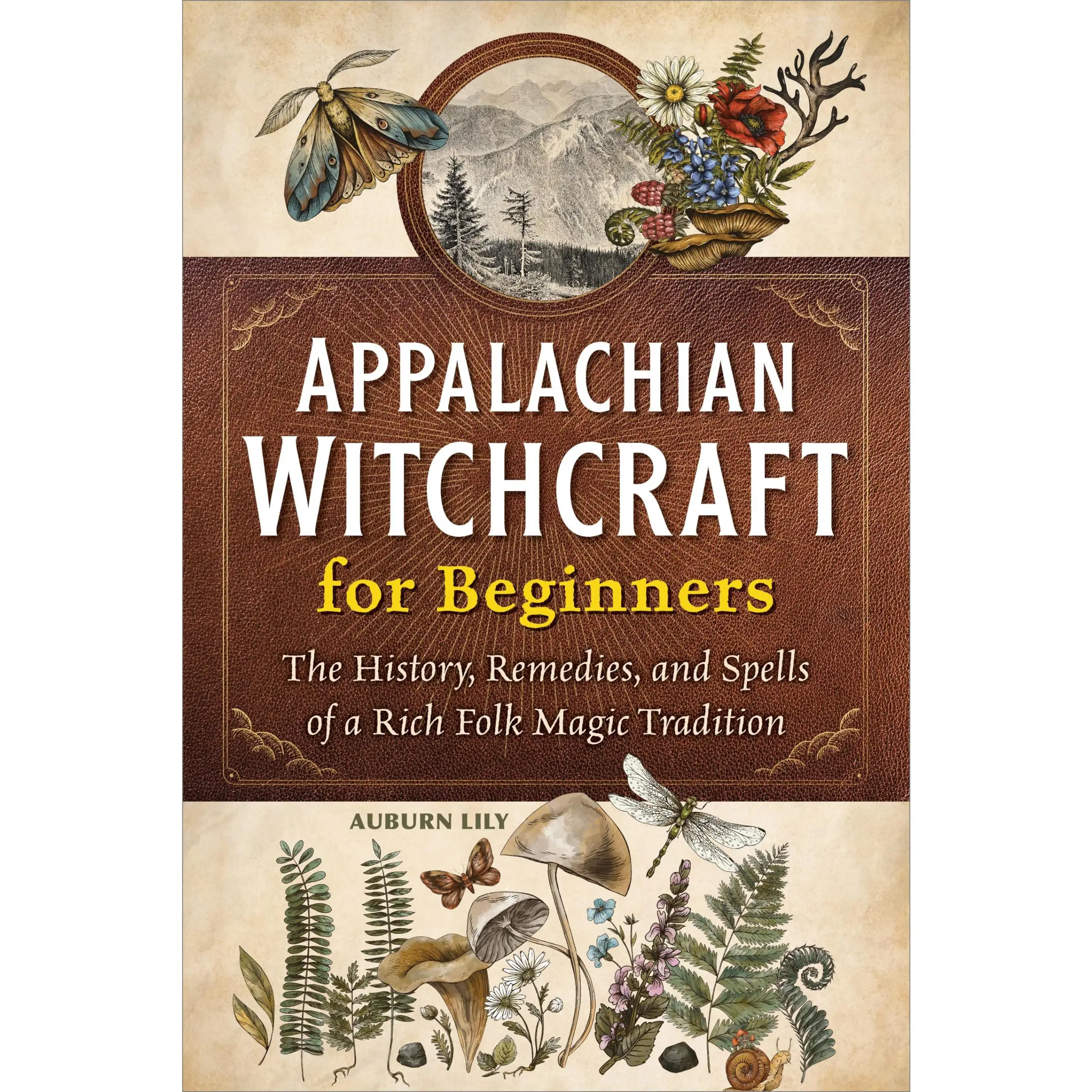 Appalachian Witchcraft for Beginners: The History, Remedies, and Spells of a Rich Folk Magic Tradition -- Auburn Lily - Paperback
