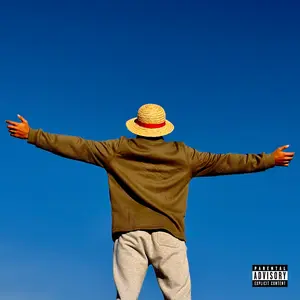 One Piece Luffy Straw Hat