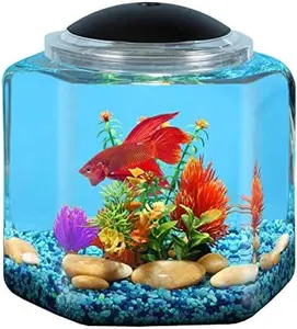 Koller Products 1 Gallon Hex BettaTank with LED Lighting - Compact Fish Tank for Small Aquariums
