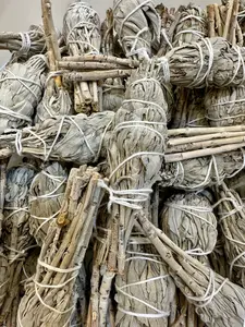 White Sage Torch Smudge Stick