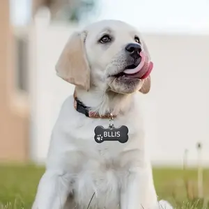 Customizable Personalized Dog Tag, Engraved Name Phone Number Stainless Steel Label, Durable Pet ID Tag for Dogs, Ideal Pet Accessory