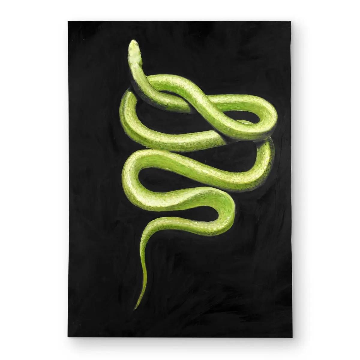 Begin Home Decor C1ROAR57QE2Q1Y 5 x 7 ft. Green Snake Reptile Outdoor Rectangle Area Rug - Contemporary Decor