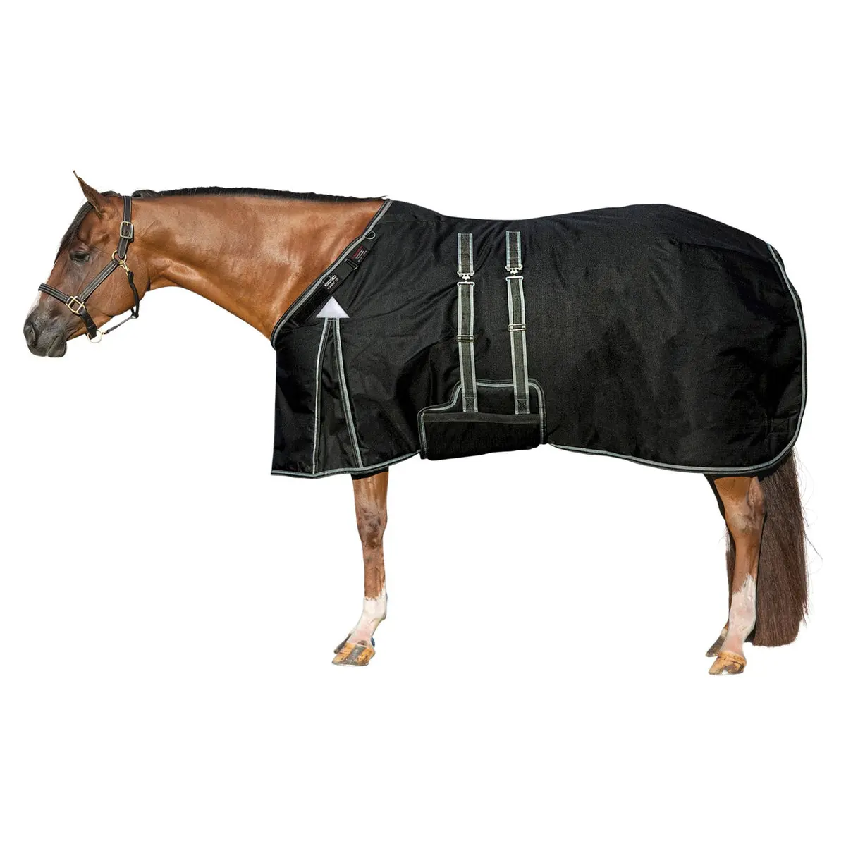 ARMORFlex Challenger II Horse Equestrian Turnout Blanket - V-Free Wither Relief, Adjusta-Fit, Closed Front Bellyband, 380g Heavy Weight, Waterproof, Protection, Fitting