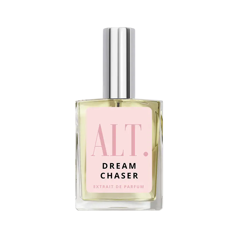 Dream Chaser Dream Chaser