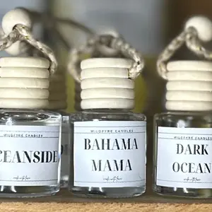 Hanging Car Diffuser diffuser oil