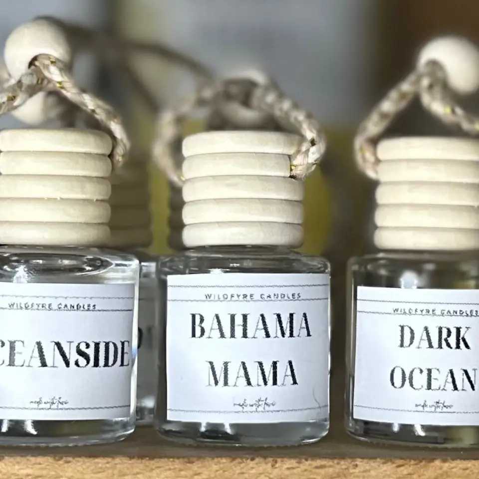 Hanging Car Diffuser diffuser oil