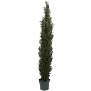 7' Mini Cedar Pine Tree (Indoor/Outdoor)