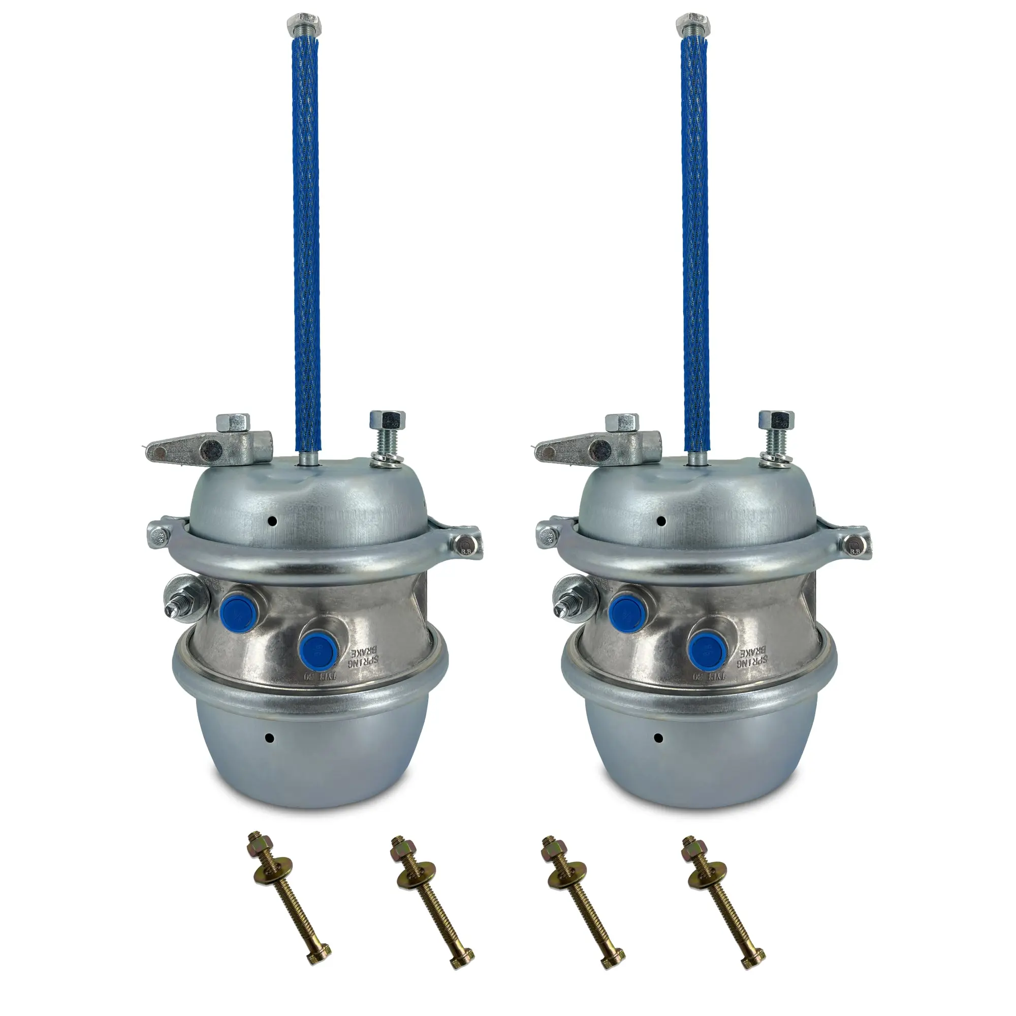 TORQUE 2 Pack of Type 30/30 Air Brake Chamber Sealed 2.5" Stroke Fully Threaded for semi Truck Trailer with 4 Extra Caging Bolts (Replace Bendix 165255 K049898 Haldex GC3030) (TR3030C + 4 x TR800921)