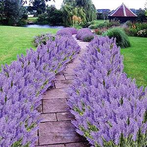10 Bundles Artificial Lavender Fake Flowers Faux UV Resistant Plastic Plants for Home Wedding Kitchen Garden Patio Window Box Office Table Centerpieces Indoor Outdoor Decor #GLOBAL PICKS