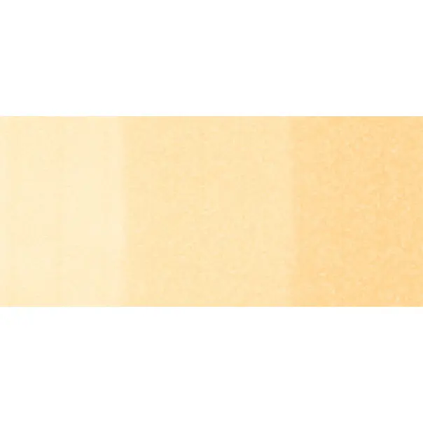 Copic Sketch Markers (Earth Tones)
