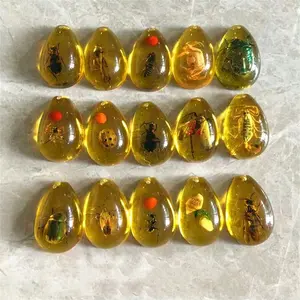 Random 1pc Insect Amber Specimen Blind Box, Kids Digging Archaeology Scorpion Spider Bug Amber, Student Science Teaching Pendant Gift