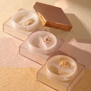 BYE FILTER LOOSE SETTING POWDER (VARIOUS SHADES)