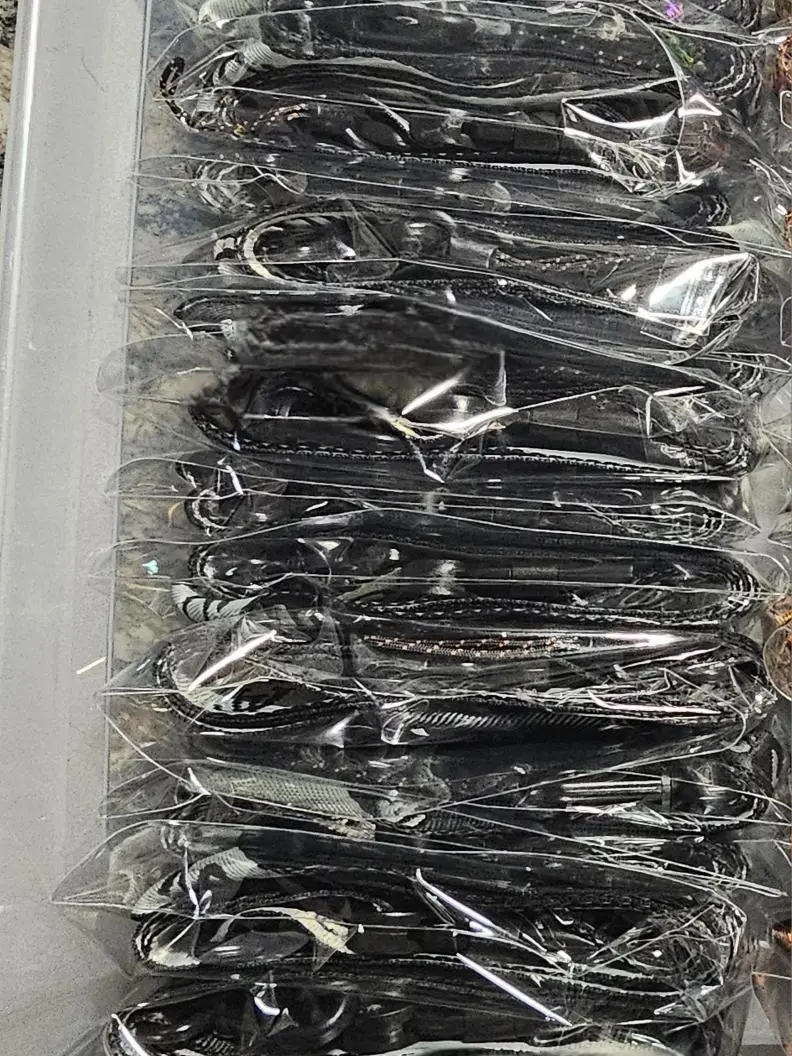 New GG Lanyard with clip and swivel claasp
