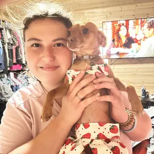 Summer Pet Clothing Teddy Puppy Bikini Set Swimwear, Beach Cloth Doll Cat Dog Clothes, Pet Swimsuit for Cats Dogs, Cute Summer, Costume