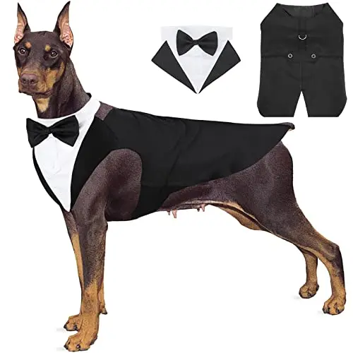 black(dog suit）