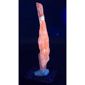 Pink Kunzite Crystal – Kunar, Afghanistan – UV Reactive – 9 Grams