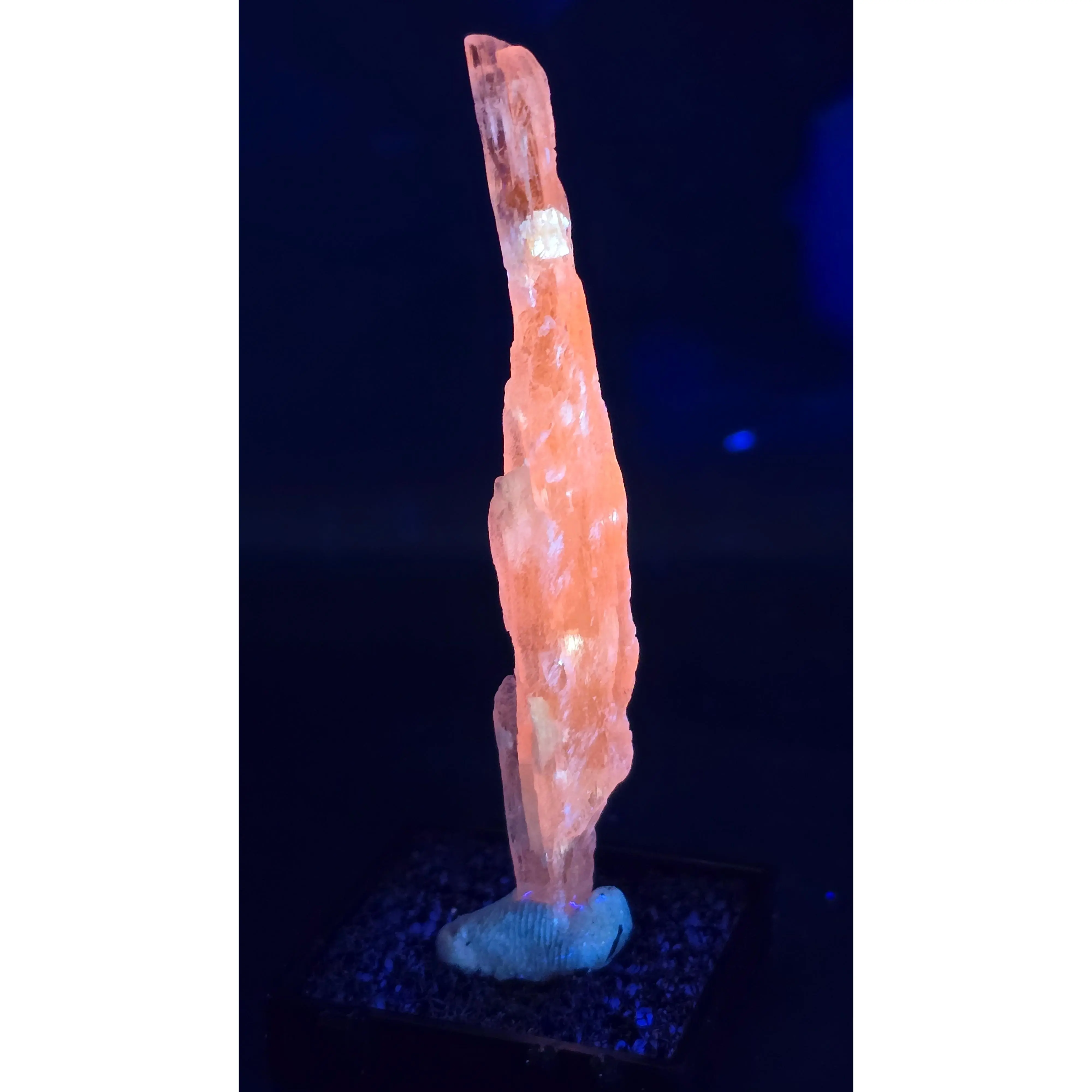 Pink Kunzite Crystal – Kunar, Afghanistan – UV Reactive – 9 Grams