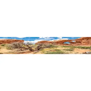 Reptile Habitat Background; Double Arch with Tree for 20L, 3-Sided Wraparound