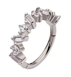 Lithic CZ Hinged Segment Ring