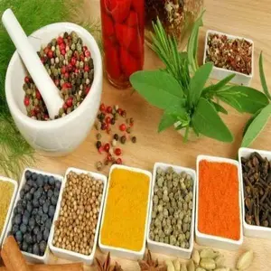 SEASONING POWDER Spice Flavor