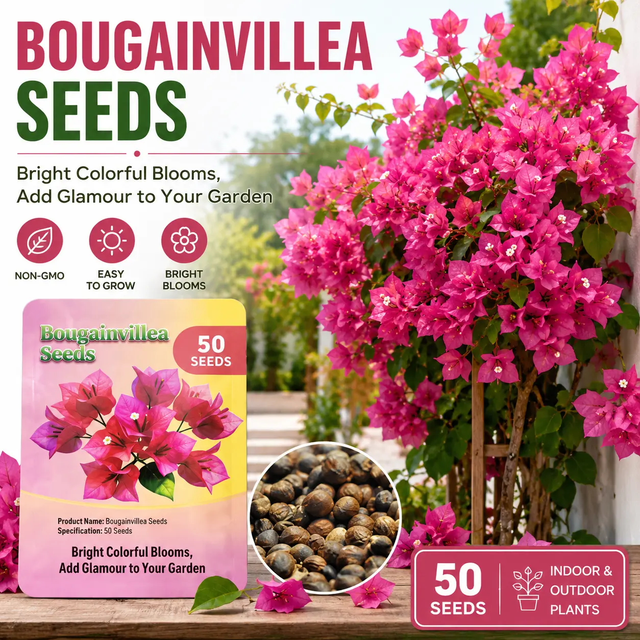 50 Pcs Bougainvillea Gardening Seeds, 100% Pure Heirloom Non-GMO Perennial Flower Seeds for Planting, Easy-to-Grow, Multi-Color Blooms, No Fillers, USA-Grown for Garden, Yd, Potted Landscape