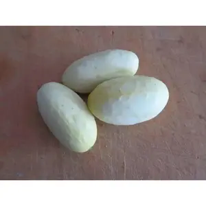 Cucumber Seeds - White Wonder ANNUAL VEGETABLE