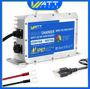 43.8V 18A Aluminum Shell LiFePO4 Battery Charger